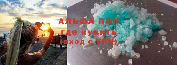 прущие грибы Зеленодольск