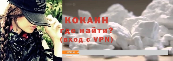 прущие грибы Зеленодольск