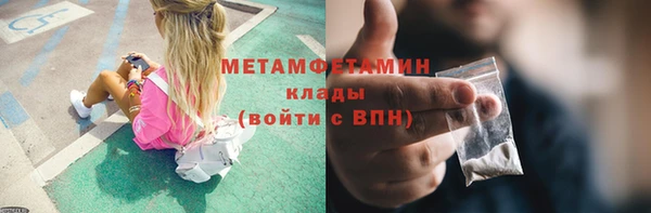 прущие грибы Зеленодольск