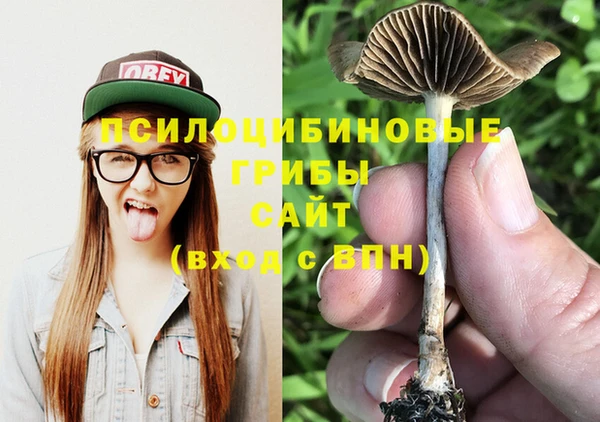 прущие грибы Зеленодольск