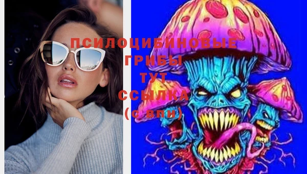 прущие грибы Зеленодольск