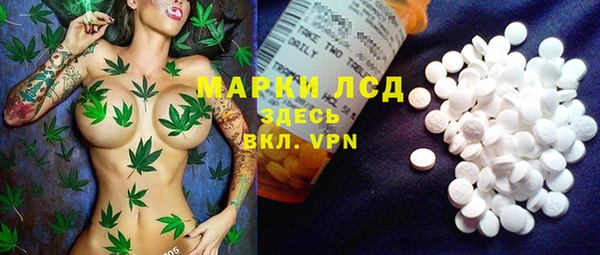 соль ск Зерноград