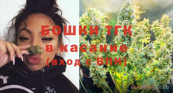 прущие грибы Зеленодольск