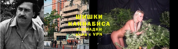 прущие грибы Зеленодольск